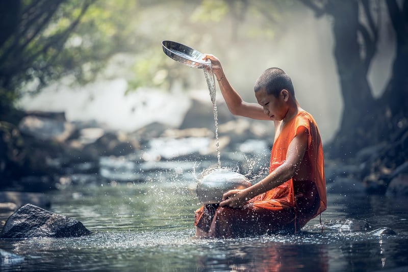 Wishing Tree Rituals